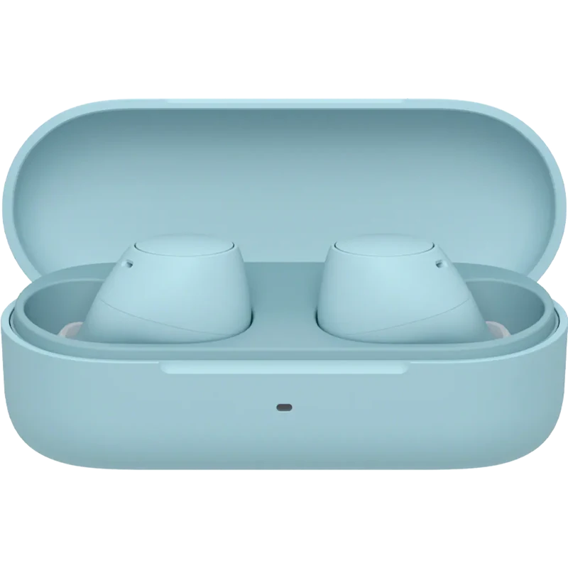 Truly Wireless Earbuds-Blue