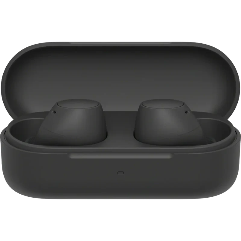 Truly Wireless Earbuds-Black