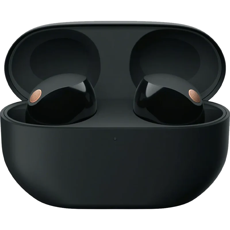 Premium Truly Wireless Noise Cancelling Earbuds-Black