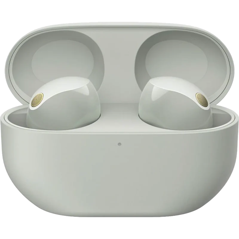 Premium Truly Wireless Noise Cancelling Earbuds-Silver