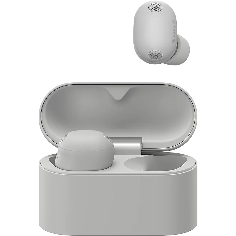 The Best Truly Wireless Noise Cancelling Earbuds-Silver
