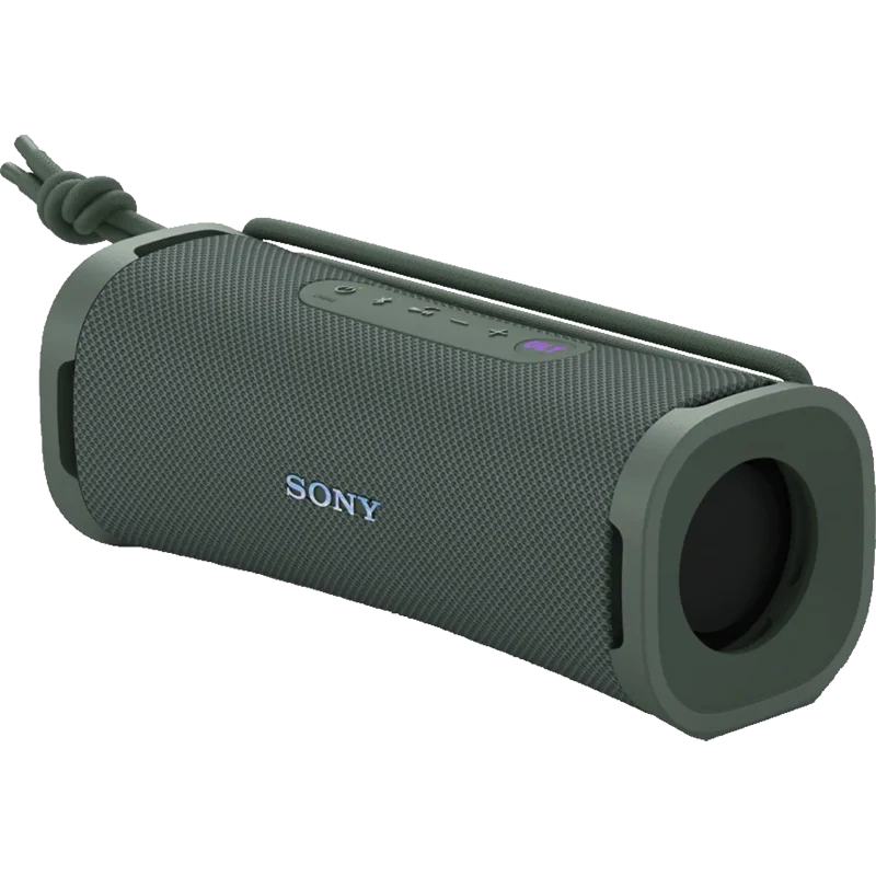 ULT FIELD 1 Wireless Portable Speaker-Gray